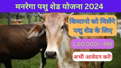 MNREGA Pashu Shed Yojana 2024