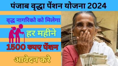 Punjab Vridha Pension Yojana 2024 