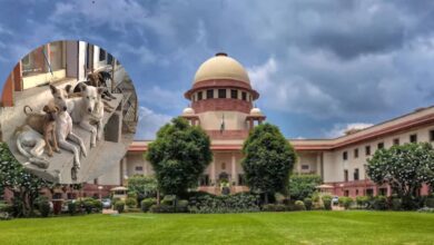 Supreme Court orders removal of stray dogs from public places within 8 weeks