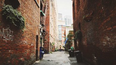 13-times-200-plus-scores