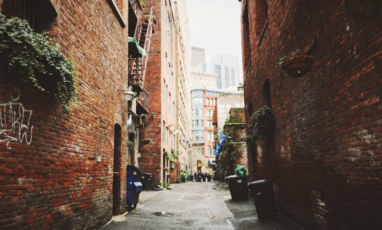 13-times-200-plus-scores