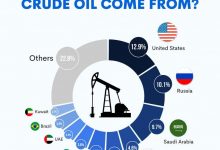 32-countries-efforts-oil-crisis