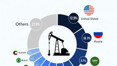 32-countries-efforts-oil-crisis