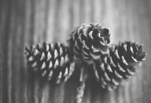 aamir-khan-girlfriend-event-style