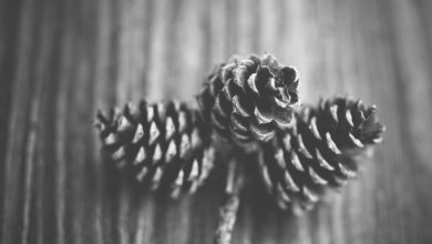 aamir-khan-girlfriend-event-style