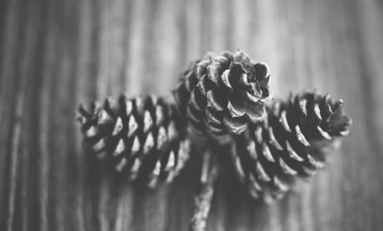 aamir-khan-girlfriend-event-style