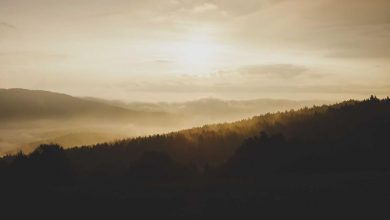 abhishek-sharma-world-cup