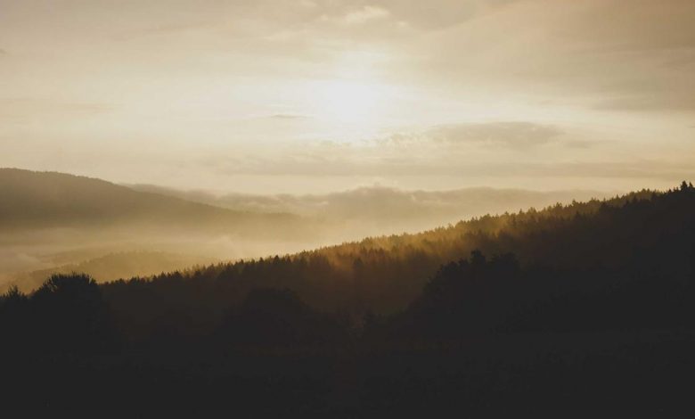 abhishek-sharma-world-cup