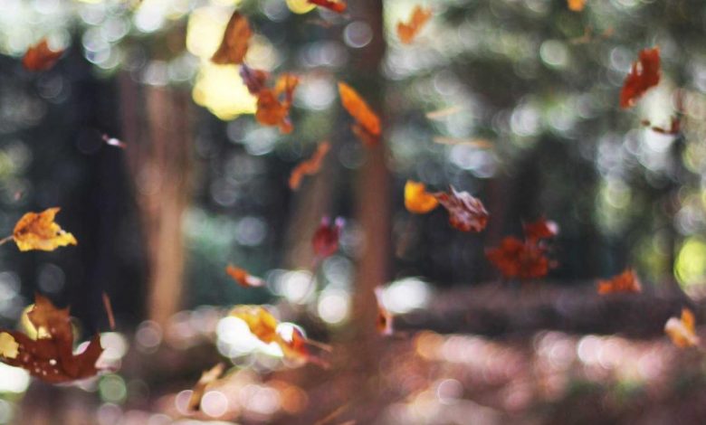 action-hero-prime-video