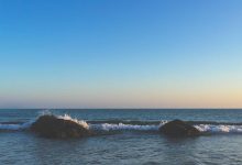 actress-egg-freezing-experience