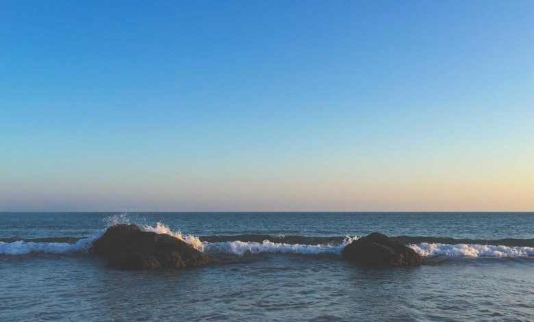 actress-egg-freezing-experience