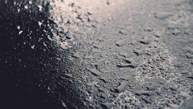 actress-family-reaction-decision