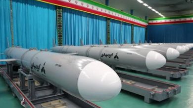 ai-error-175-lives-lost