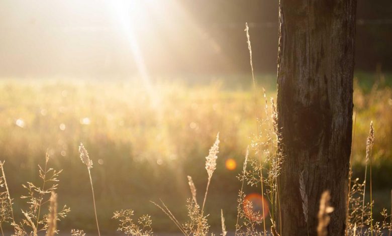 aids-awareness-workshop-railway-hospital