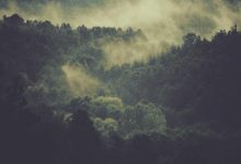 air-force-one-color-change