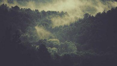 air-force-one-color-change