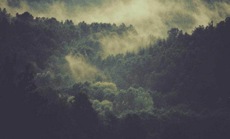 air-force-one-color-change