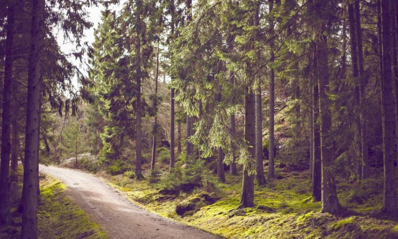 aishwarya-aradhya-hair-style-event