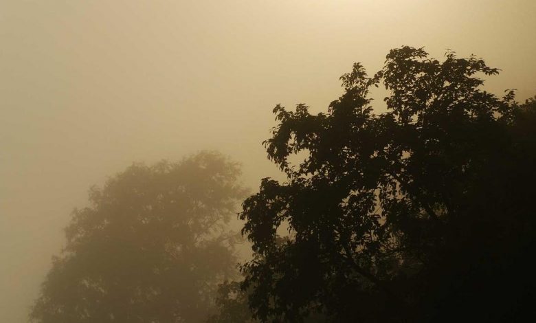 aishwarya-rai-dances-on-salman-song