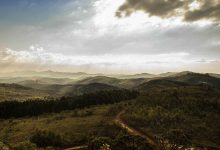 allu-arjun-security-junior-ntr-connection