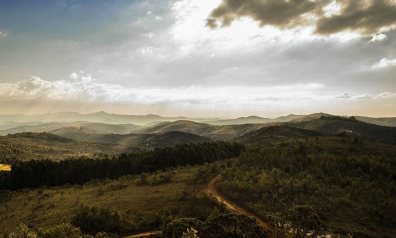 allu-arjun-security-junior-ntr-connection