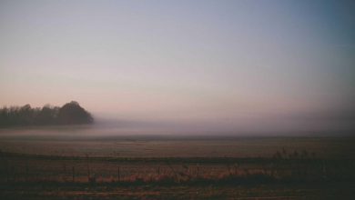 amazon-discounts-samsung-iqoo-oneplus