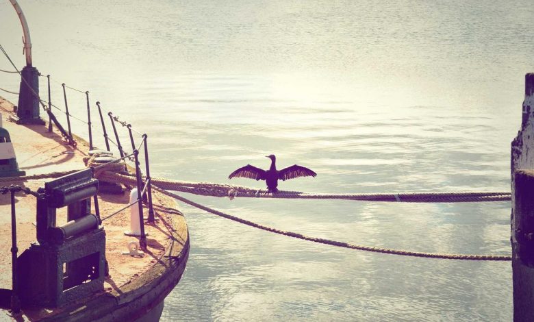 anjali-tendulkar-pink-saree-fashion