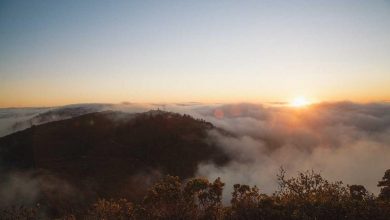 antacid-harmful-effects-acidity