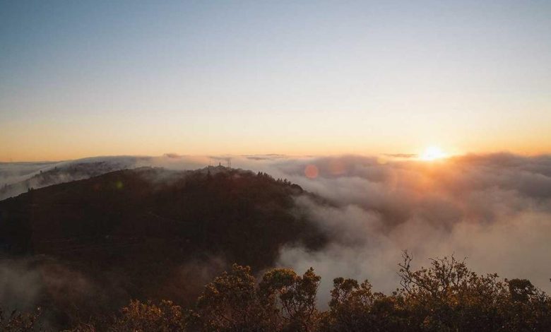 antacid-harmful-effects-acidity