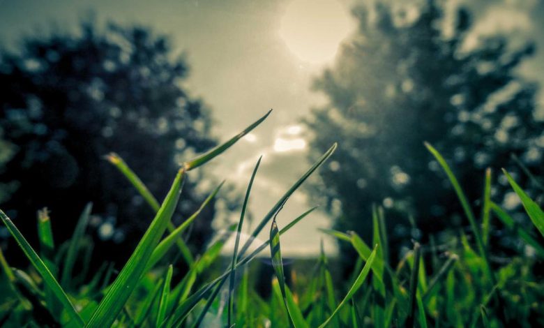 anuj-sharma-squadron-leader-tribute