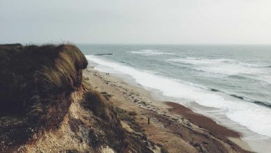 apple-outperforms-samsung-smartphone-sales