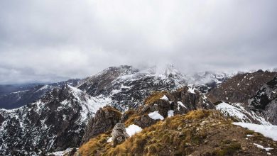 arsdeep-throws-injury-mitchell