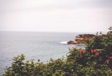 attack-on-ashutosh-maharaj-in-train-0778