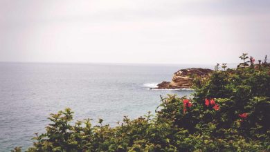 attack-on-ashutosh-maharaj-in-train-0778