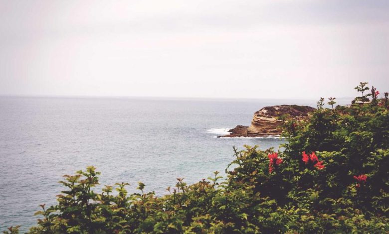 attack-on-ashutosh-maharaj-in-train-0778