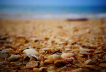 attack-on-ashutosh-maharaj-in-train-8501