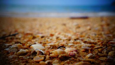 attack-on-ashutosh-maharaj-in-train-8501
