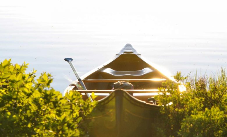 avimukteshwaranand-reaction-on-ashutosh-attack