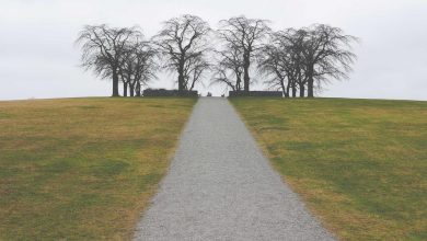 bihar-next-chief-minister-nitish-kumar