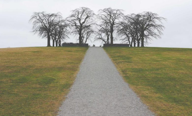 bihar-next-chief-minister-nitish-kumar