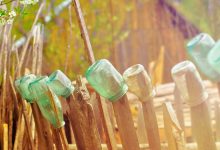 brokerage-report-six-stocks-flying