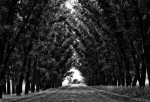 brother-kills-sister-in-delhi