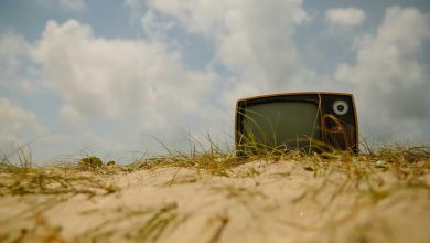 budget-session-second-phase-discussion-voting