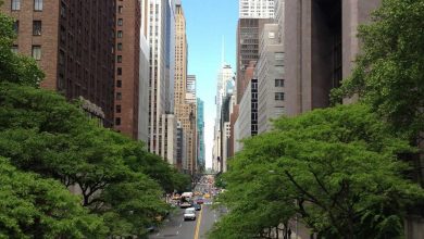 bumrah-heritage-suryakumar-emotional
