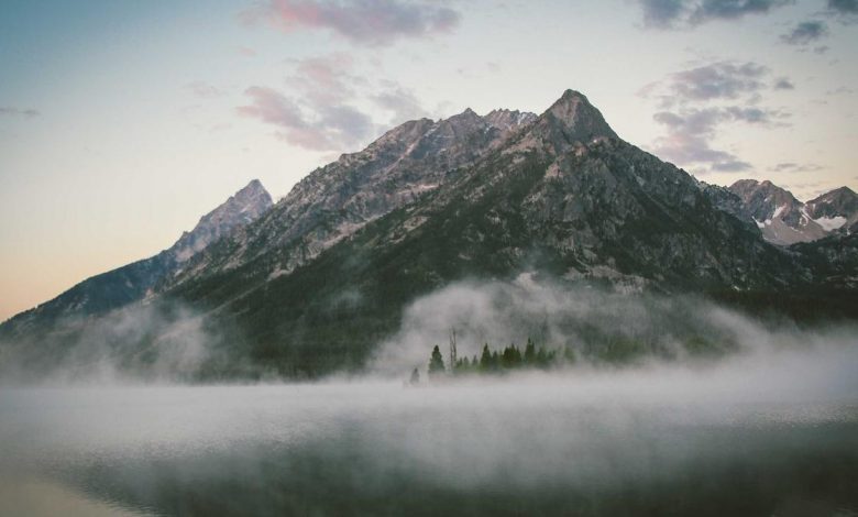 button-press-makes-flour-at-home
