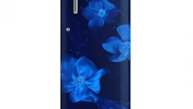 buy-fridges-under-20000