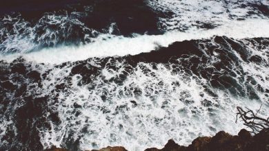 chatgpt-data-leak-concerns