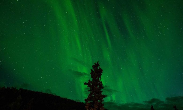 cji-suryakant-bengal-issues