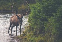 cji-suryakant-warns-frivolous-petitions