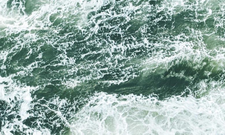 colon-cancer-risk-foods